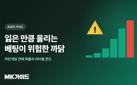 마틴게일 베팅이 위험한 이유