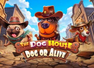 더 도그 하우스 도그 오어 어라이브 (The Dog House Dog or Alive)