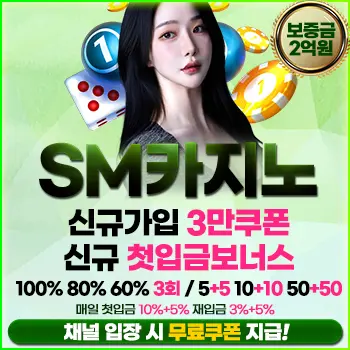 카지노 사이트